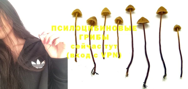 MDMA Premium VHQ Абинск