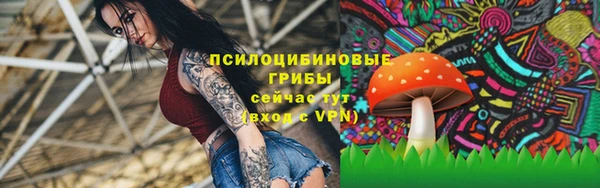 стаф Абаза