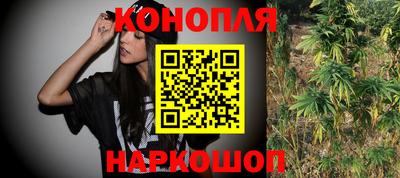 мяу мяу мука Донской