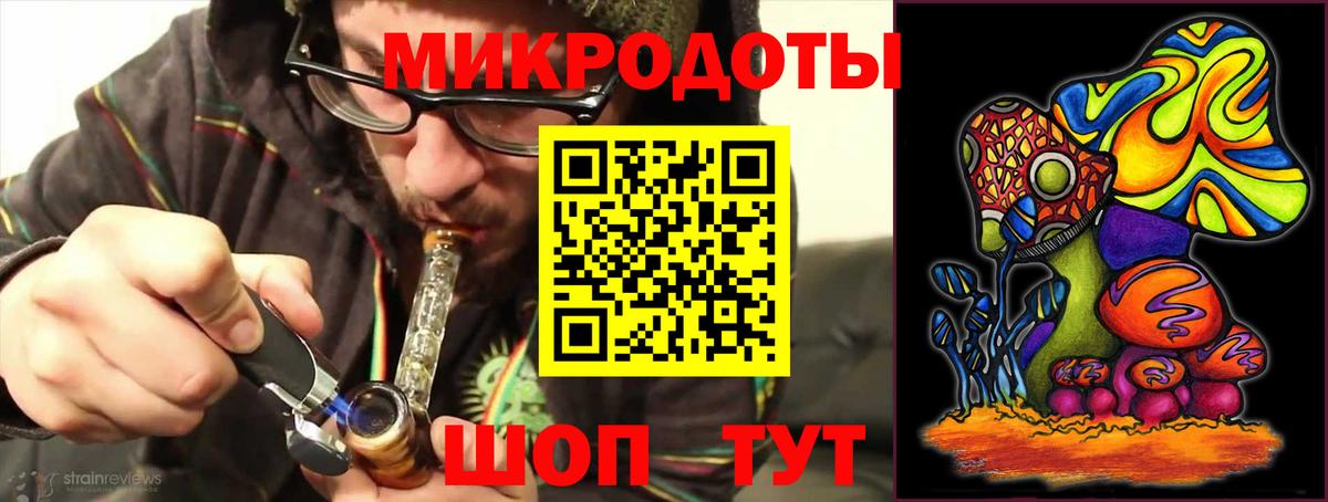 Псилоцибиновые грибы Psilocybe Луга