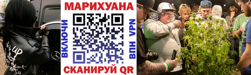 Каннабис ГИДРОПОН  Луга 