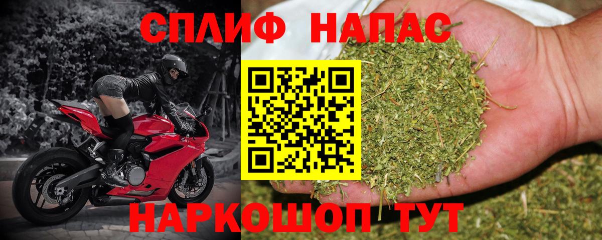 Луга  Бошки Шишки VHQ  Вход с VPN  Бошки Шишки VHQ 
